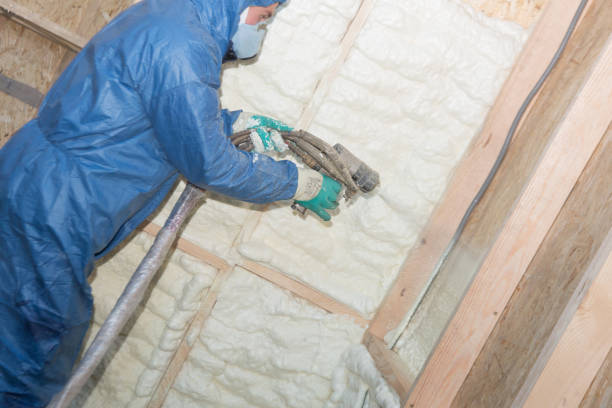 Eco-Friendly or Green Insulation Solutions in Royal Pines, NC